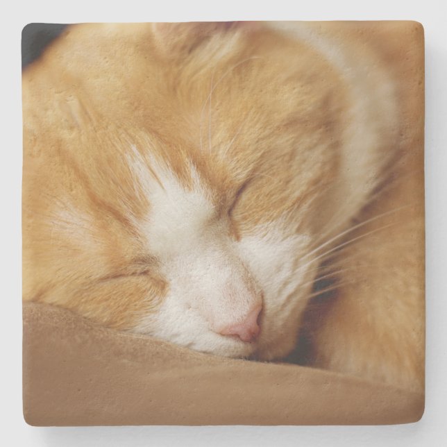 Porta-copo De Pedra Gatinho Dormindo (Frente)