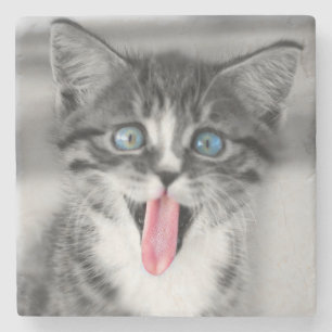 Porta-copo De Pedra Gatinho engraçado