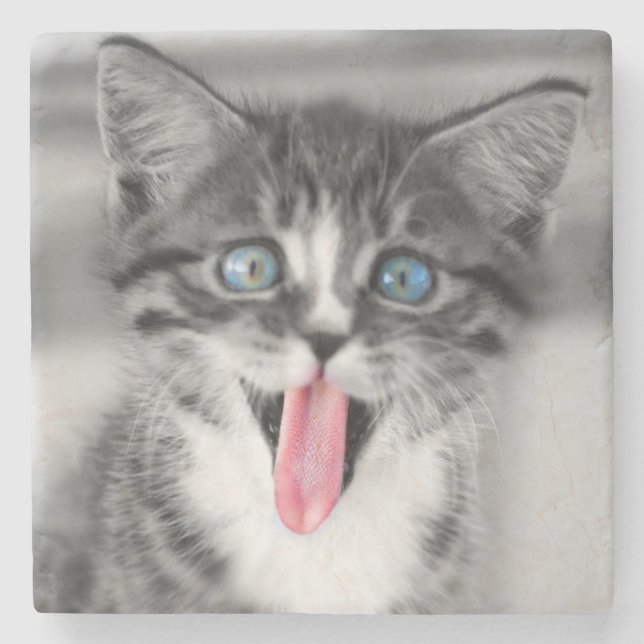 Porta-copo De Pedra Gatinho engraçado (Frente)