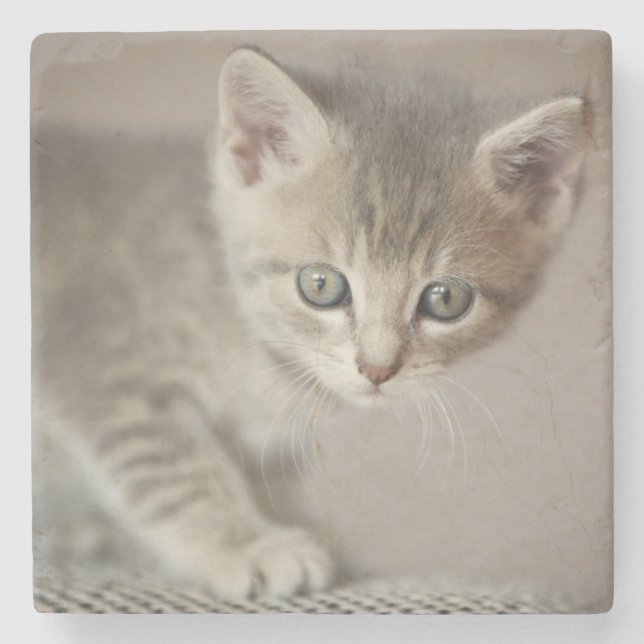 Porta-copo De Pedra Gatinho minúsculo (Frente)