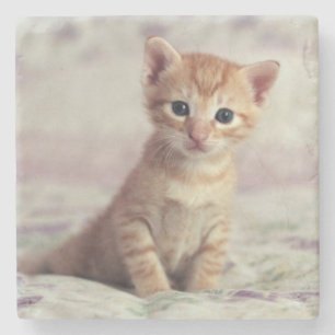 Porta-copo De Pedra Gatinho minúsculo do gengibre