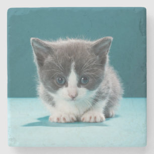Porta-copo De Pedra Gatinho pequeno