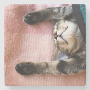 Porta-copo De Pedra Gatinho Snoozing