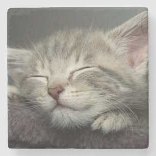 Porta-copo De Pedra Gatinho sonolento