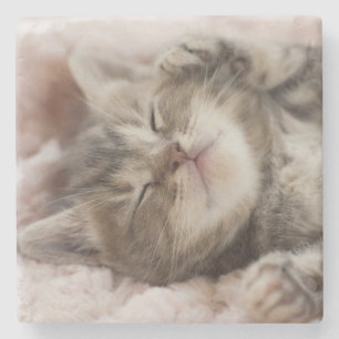 Porta-copo De Pedra Gatinho sonolento