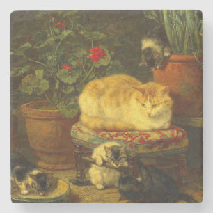 Porta-copo De Pedra Gatinhos no Play