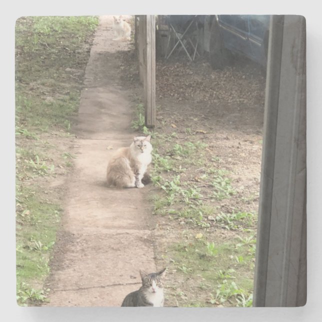 Porta-copo De Pedra Gato (Frente)