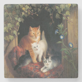 Porta-copo De Pedra Gato Com Gatinhos (Arte Animal)