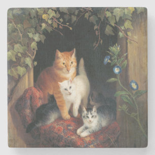 Porta-copo De Pedra Gato Com Gatinhos (Arte Animal)