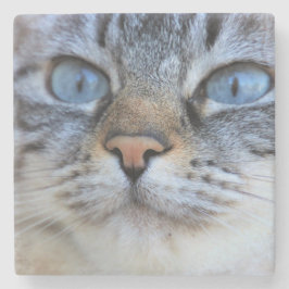 Porta-copo De Pedra Gato de cinza