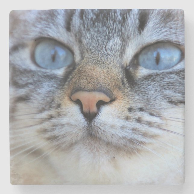 Porta-copo De Pedra Gato de cinza (Frente)