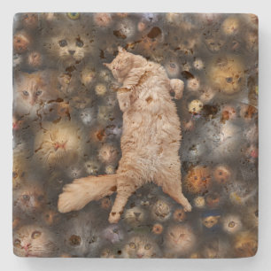 Porta-copo De Pedra Gato de Gatinho da Noite,