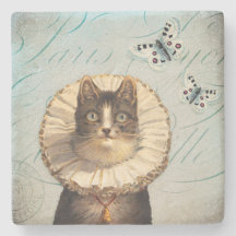 Gato do vintage com colar e borboletas do