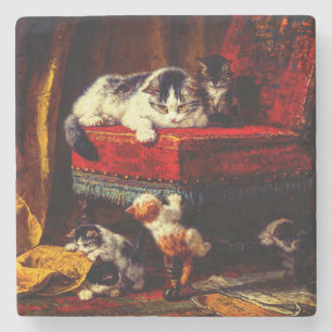 Porta-copo De Pedra Gato e Gatinhos Brincando com Cadeira