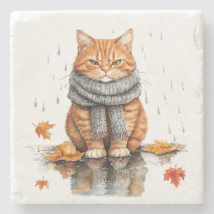 Porta-copo De Pedra Gato Laranja Mal-Humorado na Chuva