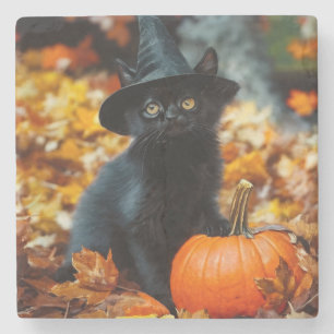Porta-copo De Pedra Gato Negro e Abóbora do Halloween