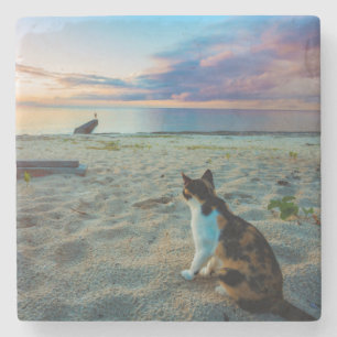 Porta-copo De Pedra Gato que senta-se em uma praia