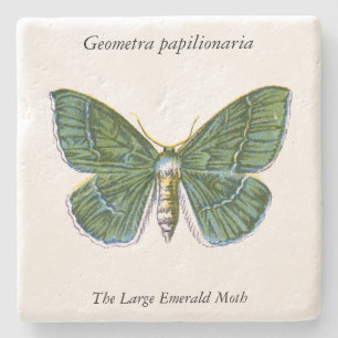 Porta-copo De Pedra Geometra papilionaria - A Grande Mama Esmeralda