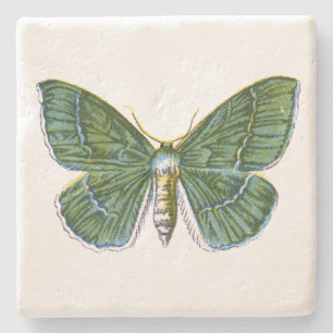 Porta-copo De Pedra Geometra papilionaria - A Grande Mama Esmeralda