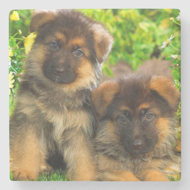 Porta-copo De Pedra German shepherd (Frente)