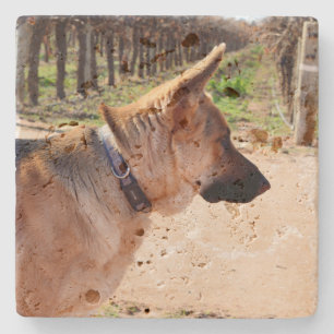 Porta-copo De Pedra German shepherd De Alerta Em Serviço De Guarda,