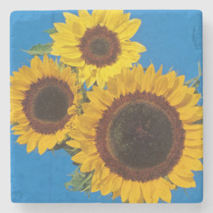 Porta-copo De Pedra Girassóis contra cerca azul