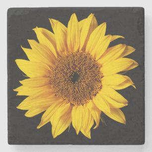 Porta-copo De Pedra Girassol no modelo floral da flor preta de Sun