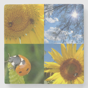 Porta-copo De Pedra Girassol sorridente