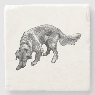 Porta-copo De Pedra Golden Retriever com Expressão Alegre
