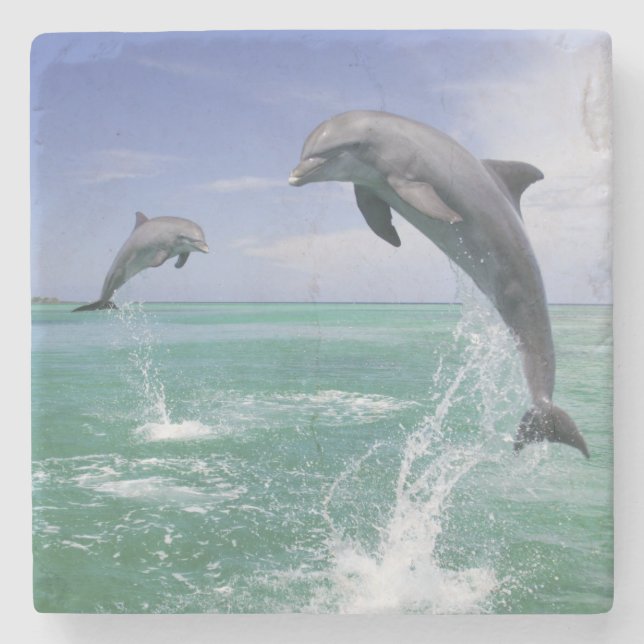 Porta-copo De Pedra Golfinhos-do-garganta Túmulos-tronco (Frente)