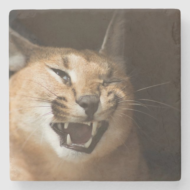 Porta-copo De Pedra Goofy Lynx (Frente)