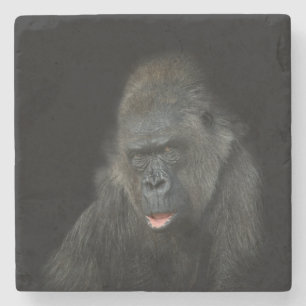 Porta-copo De Pedra Gorilla Biddy