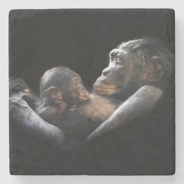 Porta-copo De Pedra Gorillas (Frente)