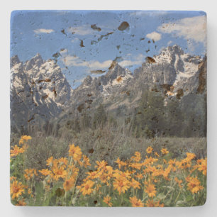 Porta-copo De Pedra Grand Teton Springtime Souvenir Foto