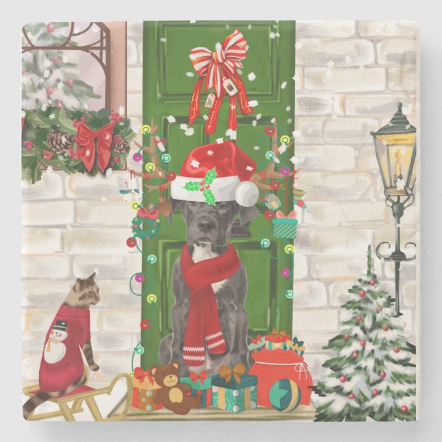 Porta-copo De Pedra Grande Natal De Cão (Frente)