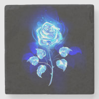 Gravação de Rosa Azul