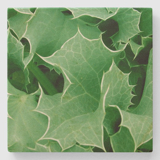 Porta-copo De Pedra Green Christmas Holly (Frente)