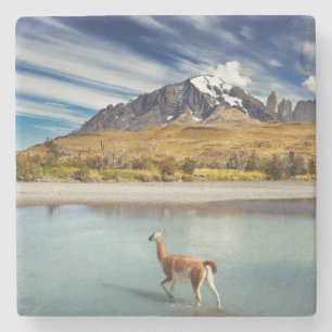 Porta-copo De Pedra Guanaco que cruza o rio em Torres del Paine