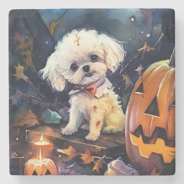 Porta-copo De Pedra Halloween Bichon Frise Com Pumpkins Assustado (Frente)