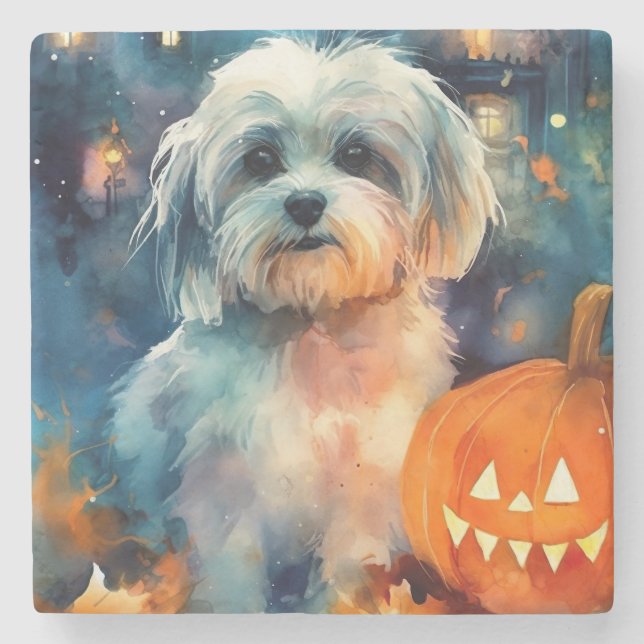 Porta-copo De Pedra Halloween Havanese Com Pumpkins Assustado (Frente)