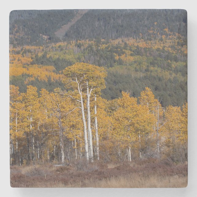 Porta-copo De Pedra Hart Prairie (Frente)