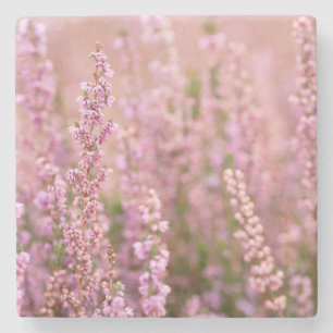 Porta-copo De Pedra Heather em Horsham, Sussex, Inglaterra