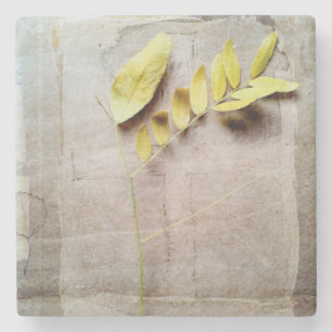 Porta-copo De Pedra Herbário V