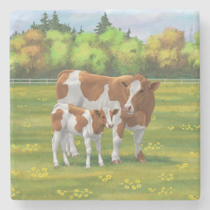 Porta-copo De Pedra Hereford Cow & Cute Calf em Pastura de Verão