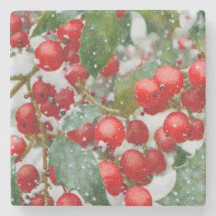 Porta-copo De Pedra Holly Red Berry Porta copos de Natal