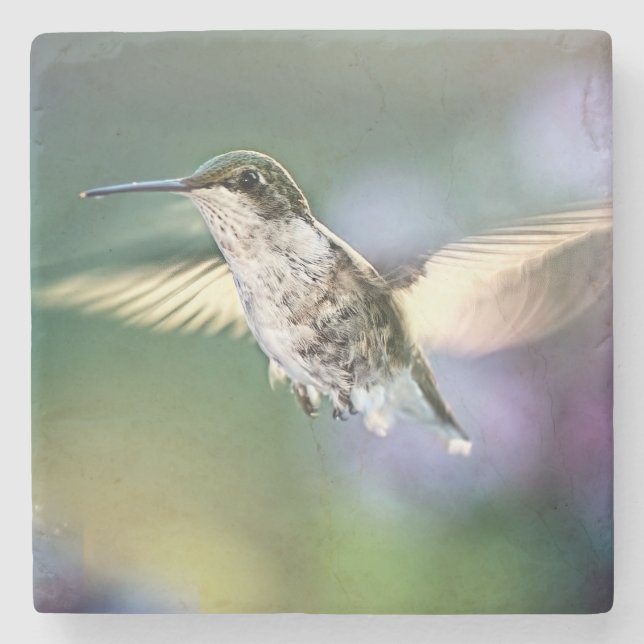 Porta-copo De Pedra Hummingbird Voando (Frente)