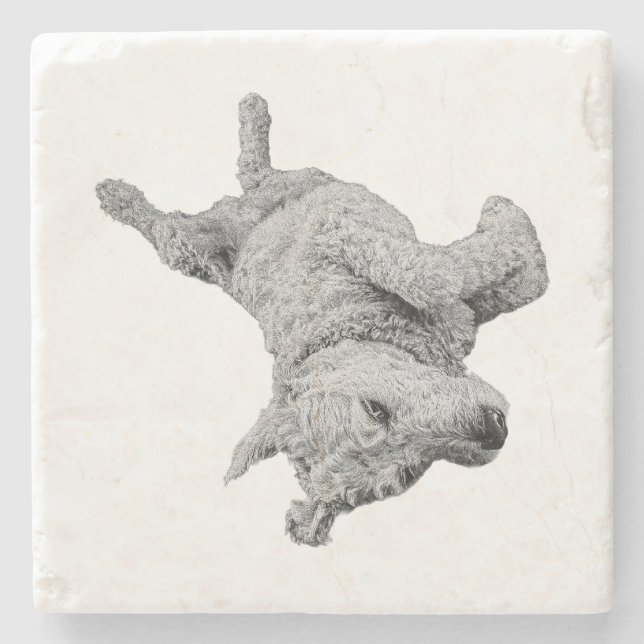 Porta-copo De Pedra Humor no Resto (Frente)