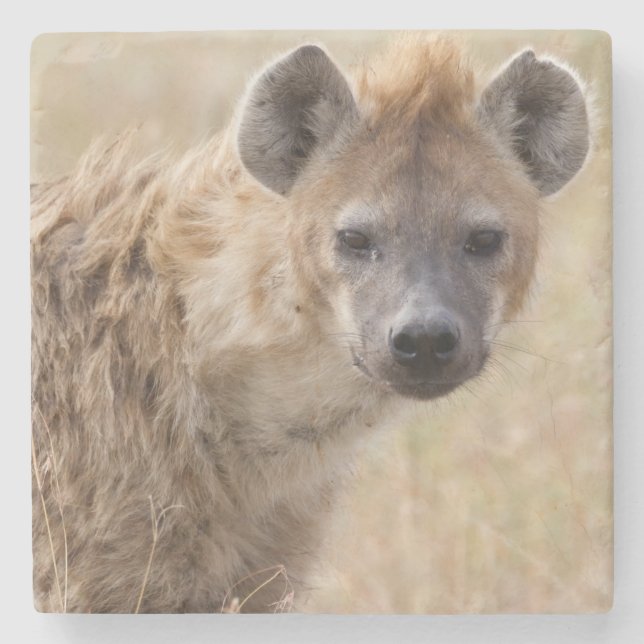 Porta-copo De Pedra Hyena (Frente)
