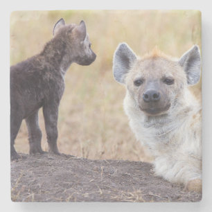 Porta-copo De Pedra Hyena com uma jovem