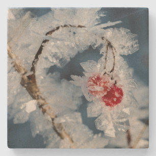 Porta-copo De Pedra Ice Berries